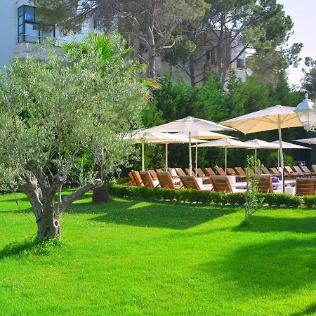 Sandy Golem (Tirana)